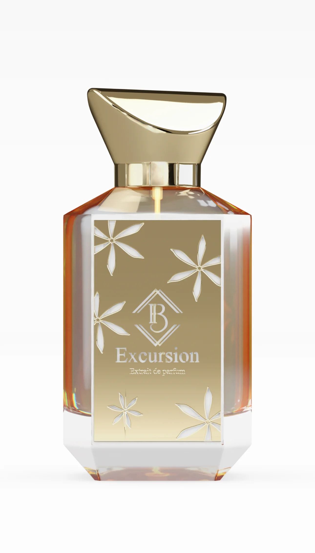 Excursion
