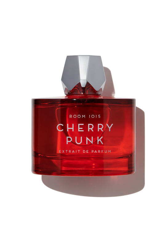 Cherry Punk Excerpt