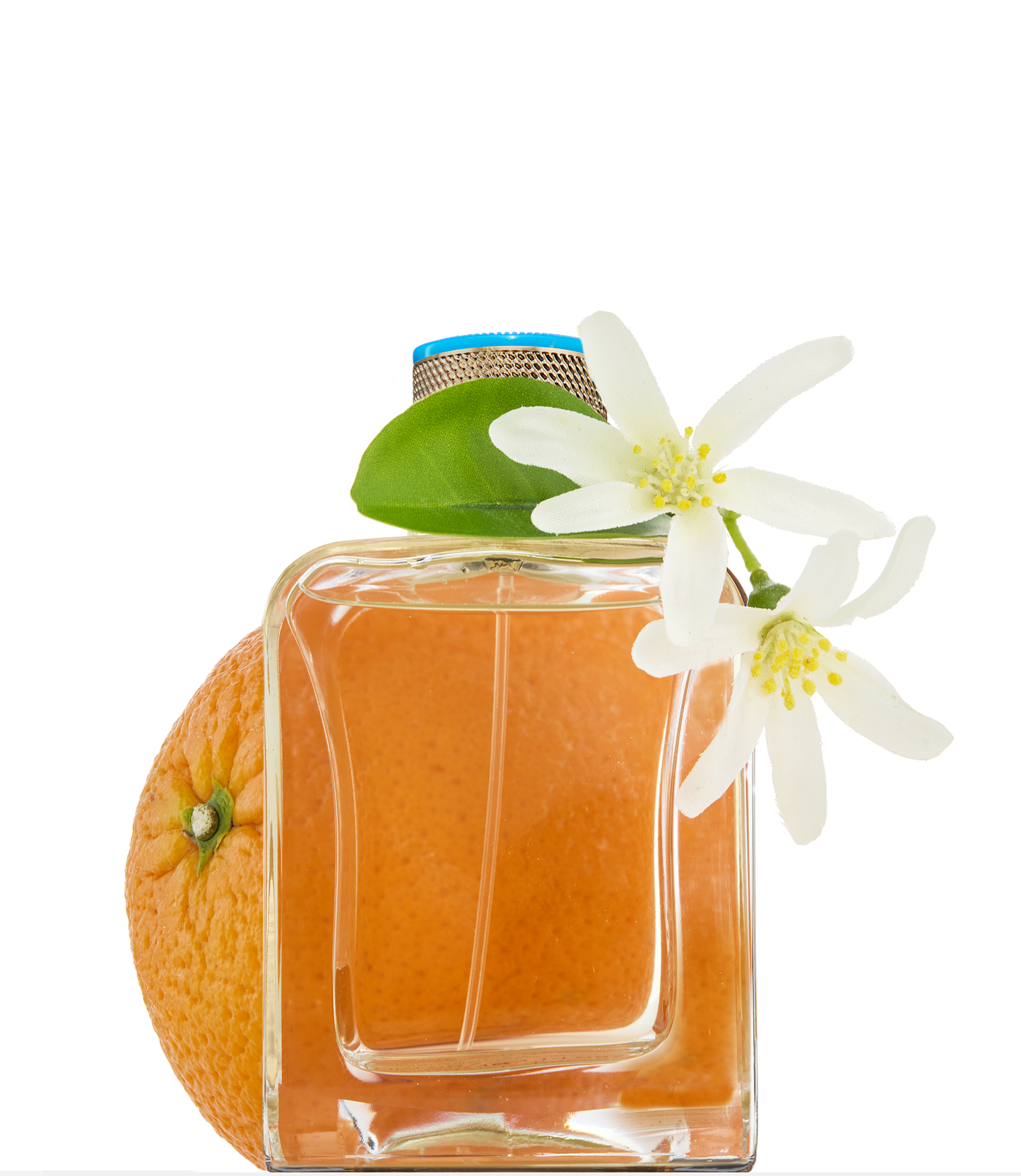 Souvenirs De Tunisie